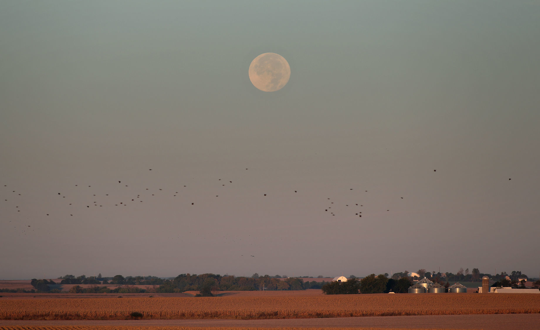 SHINE ON HUNTER'S MOON
